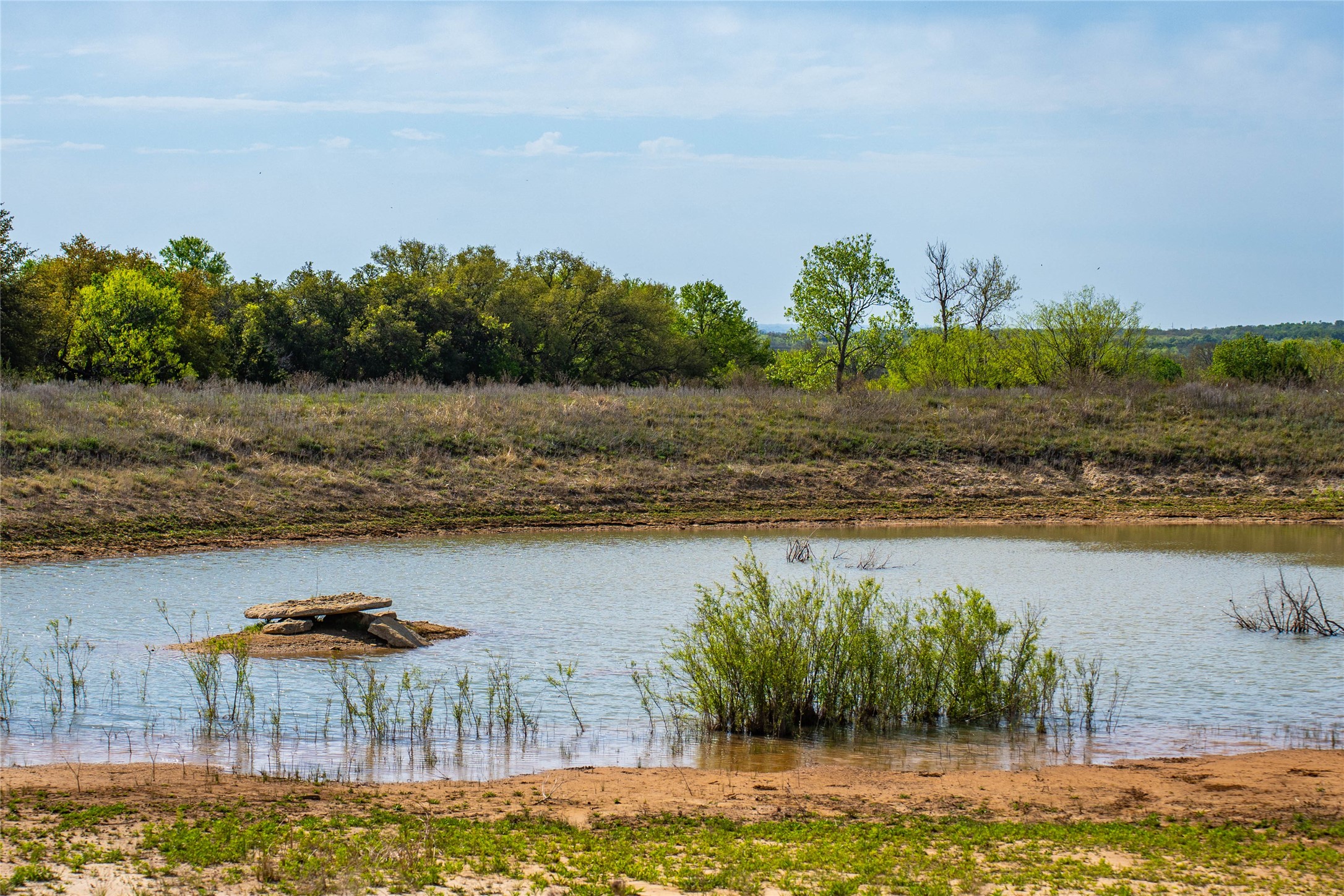 231 Georgia Pass Desdemona TX 76445