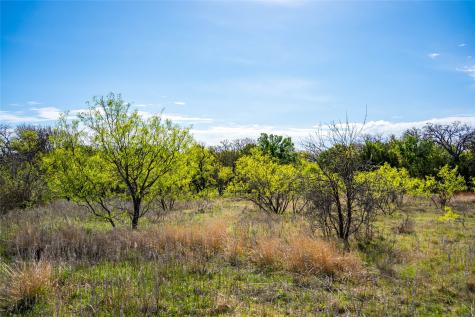 231 Georgia Pass Desdemona TX 76445
