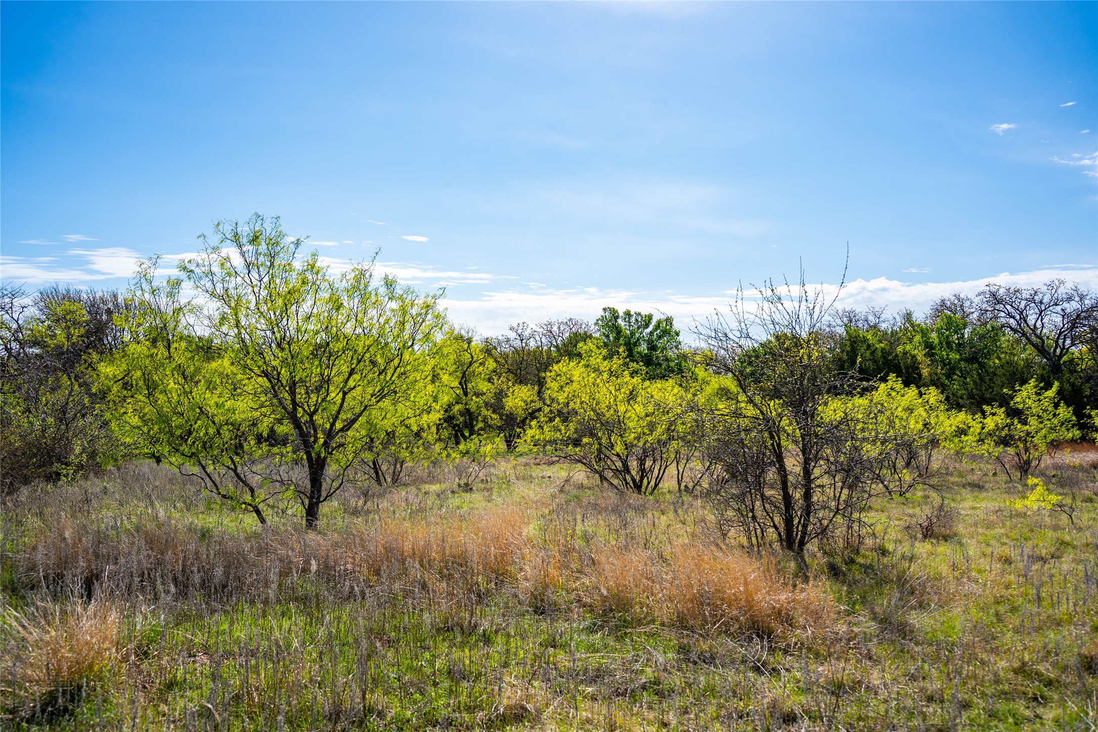 231 Georgia Pass Desdemona TX 76445