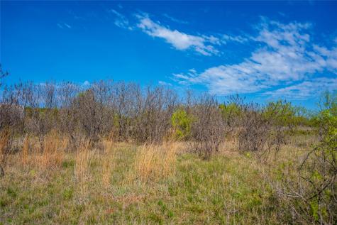 231 Georgia Pass Desdemona TX 76445
