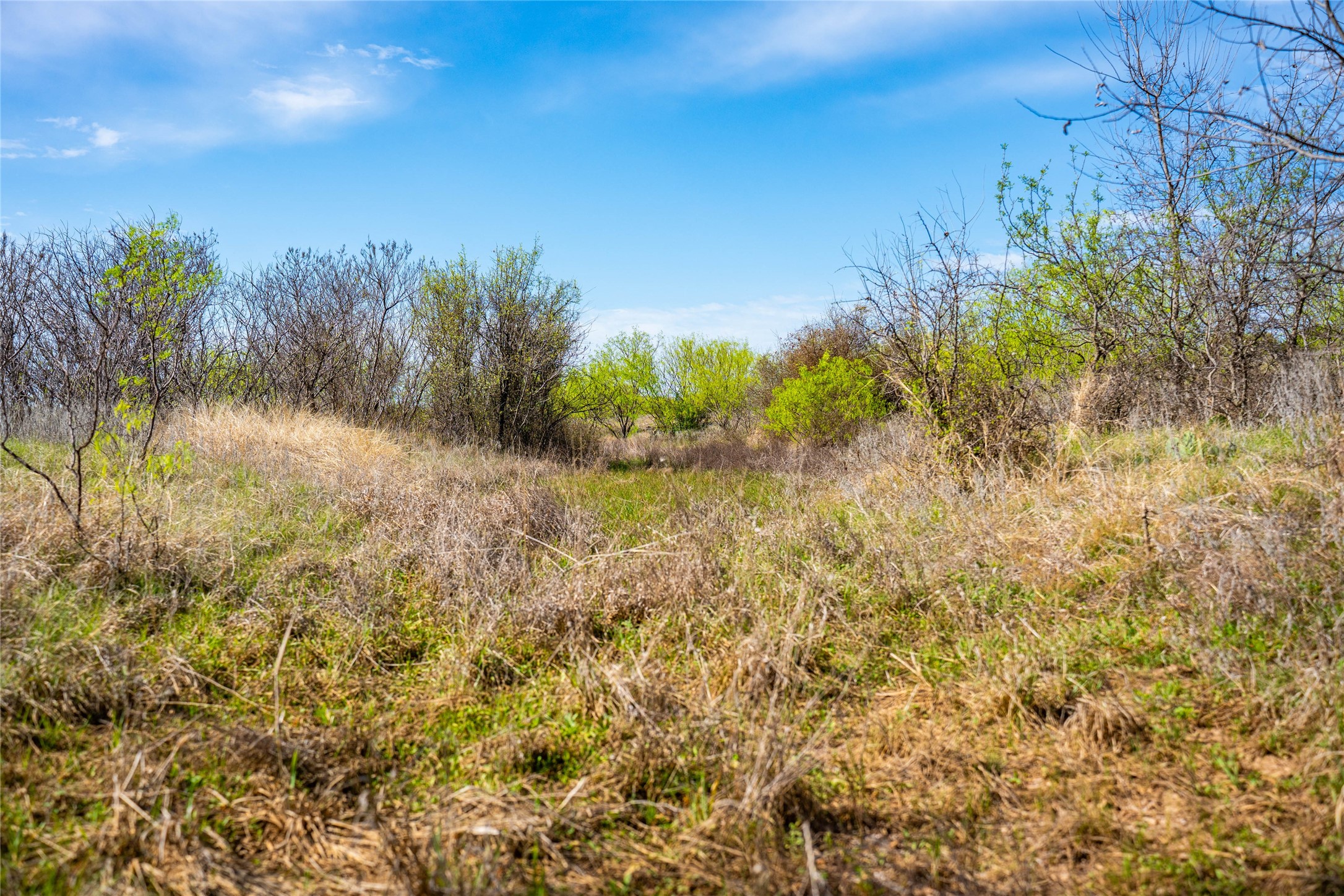 231 Georgia Pass Desdemona TX 76445