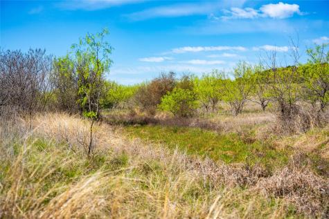 231 Georgia Pass Desdemona TX 76445