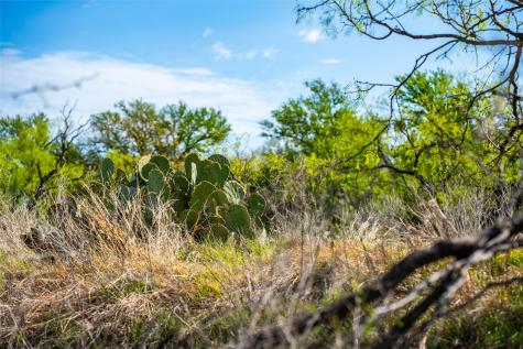 231 Georgia Pass Desdemona TX 76445