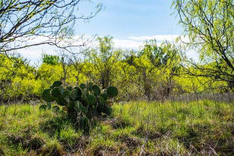 231 Georgia Pass Desdemona TX 76445