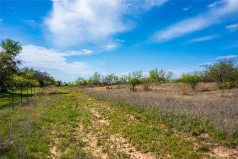 231 Georgia Pass Desdemona TX 76445