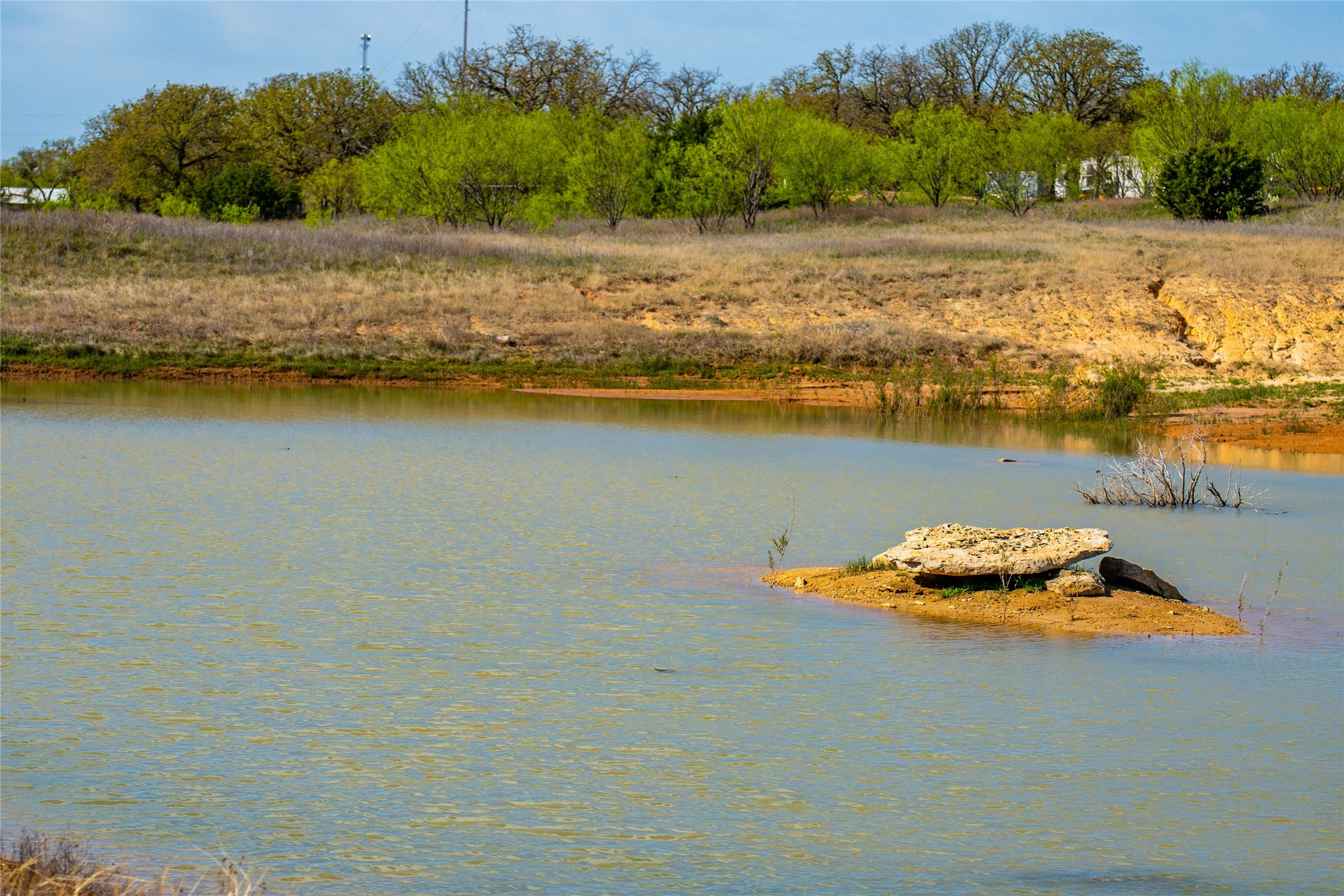 231 Georgia Pass Desdemona TX 76445