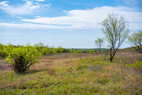 231 Georgia Pass Desdemona TX 76445