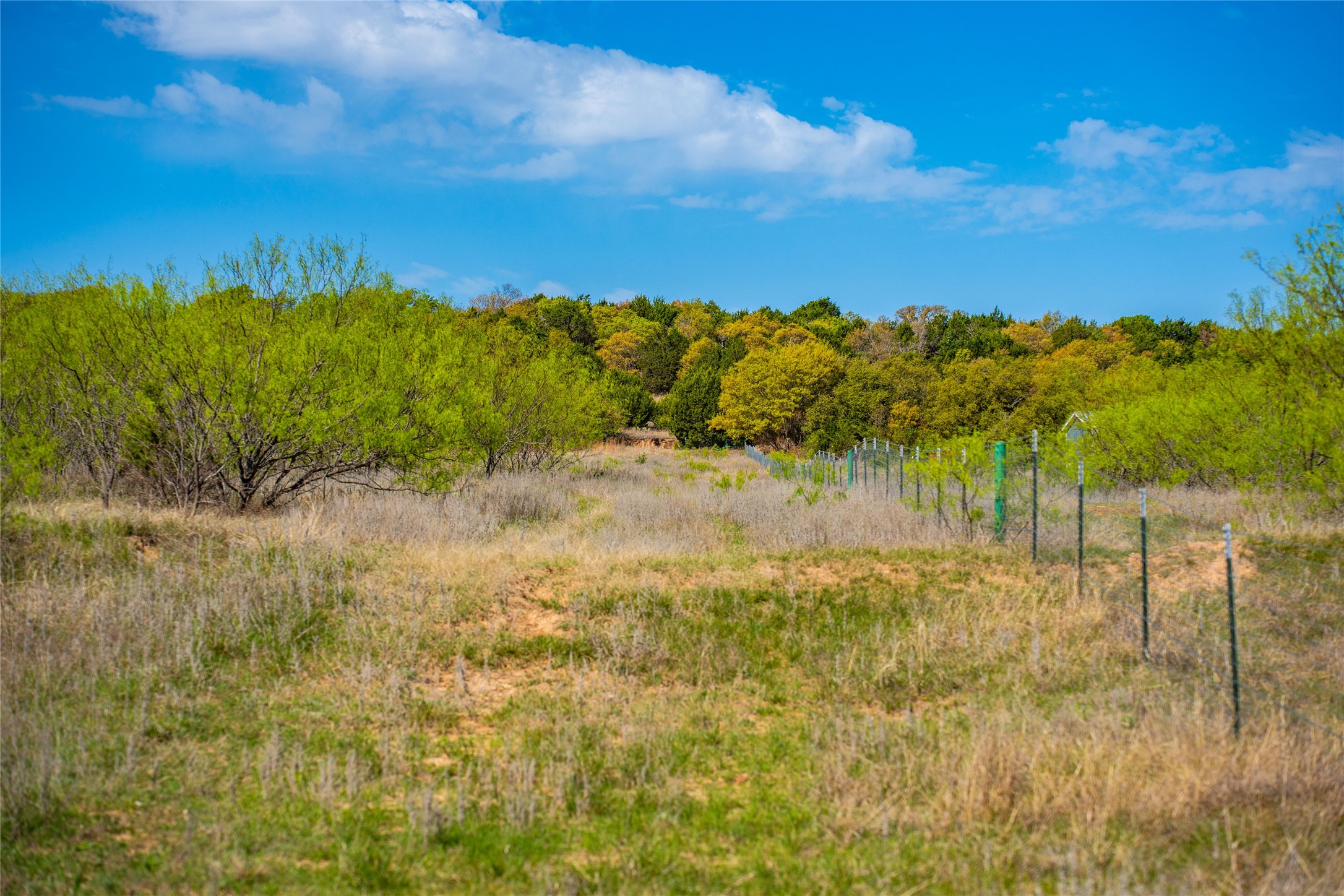 231 Georgia Pass Desdemona TX 76445