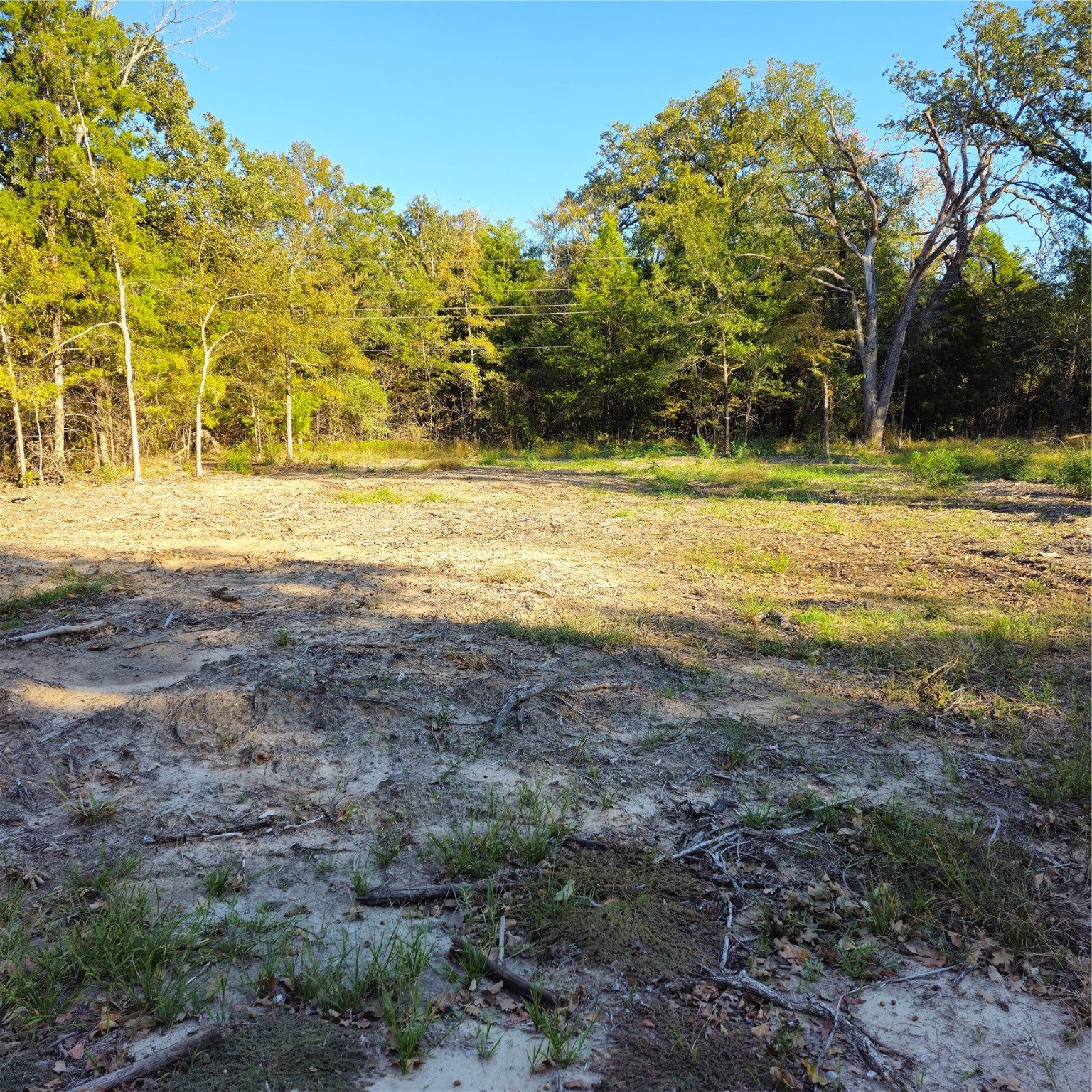 130 Dogwood Drive Trinidad TX 75163