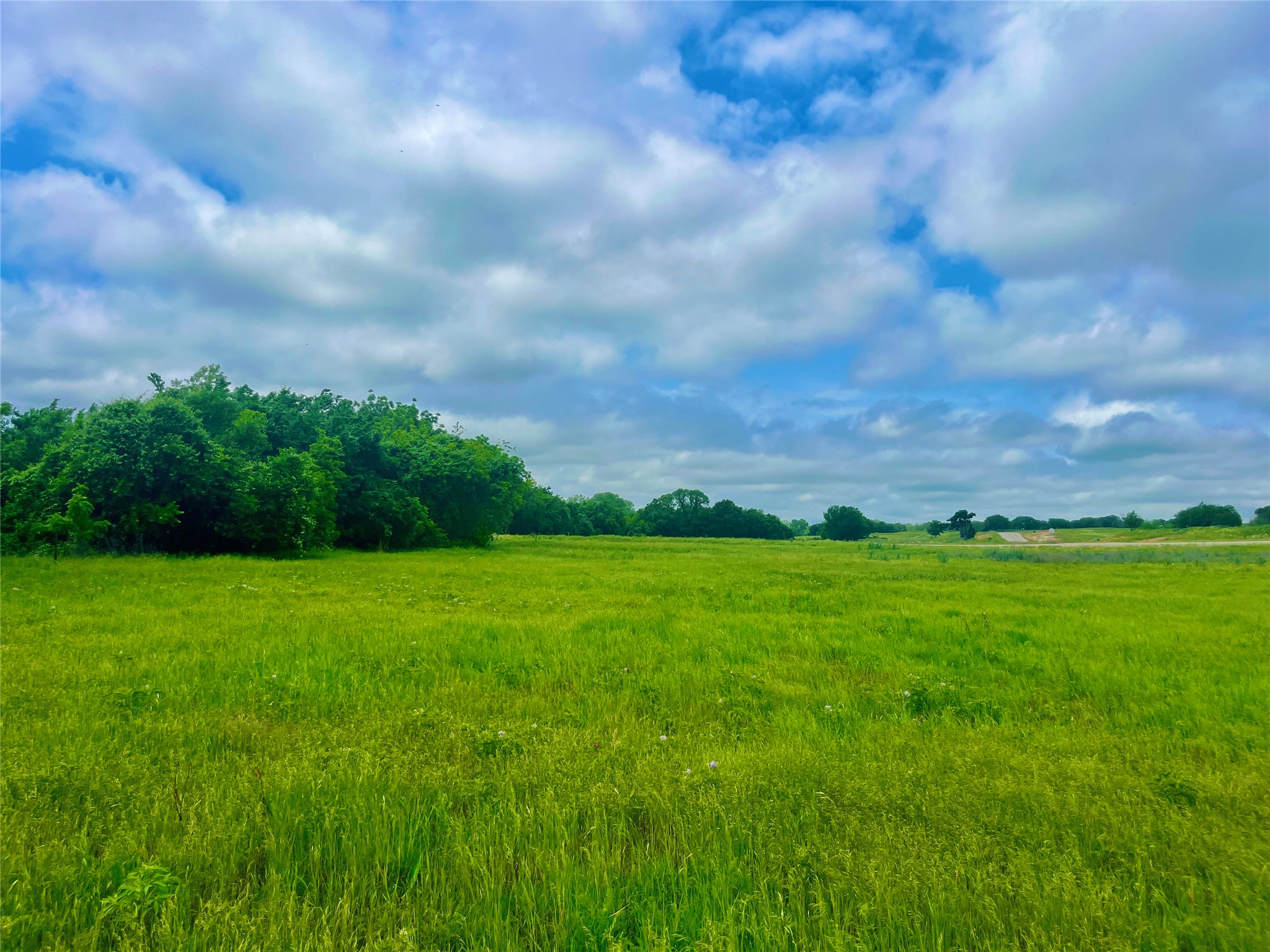 Lot 6 Clare Road Poolville TX 76487