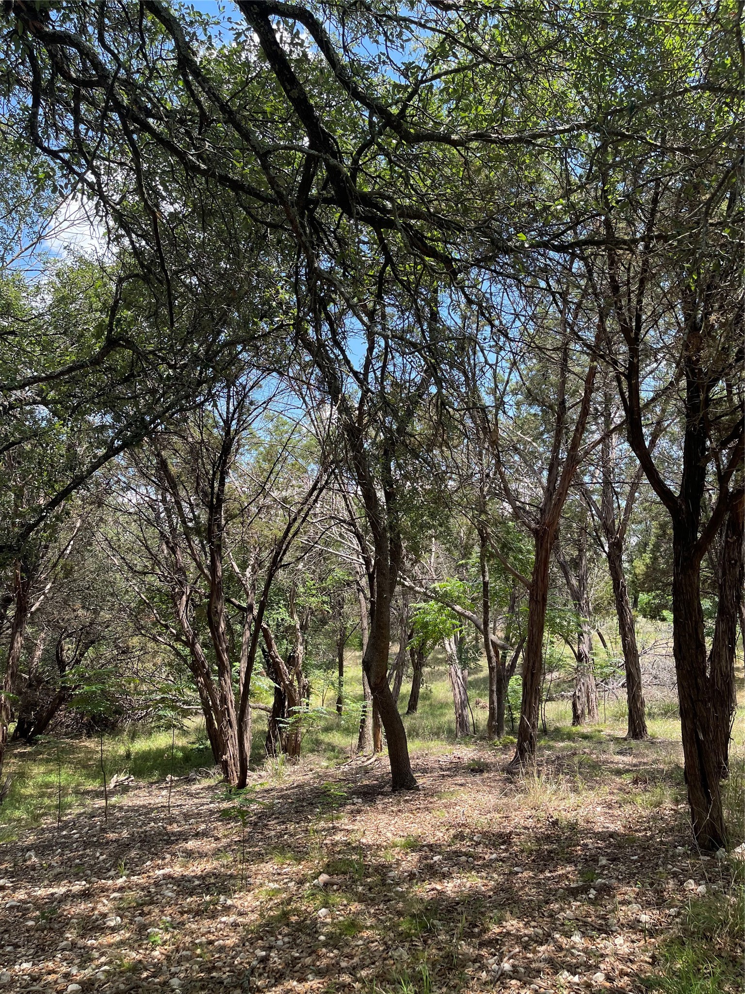 2000 Austin Hines Drive China Spring TX 76633