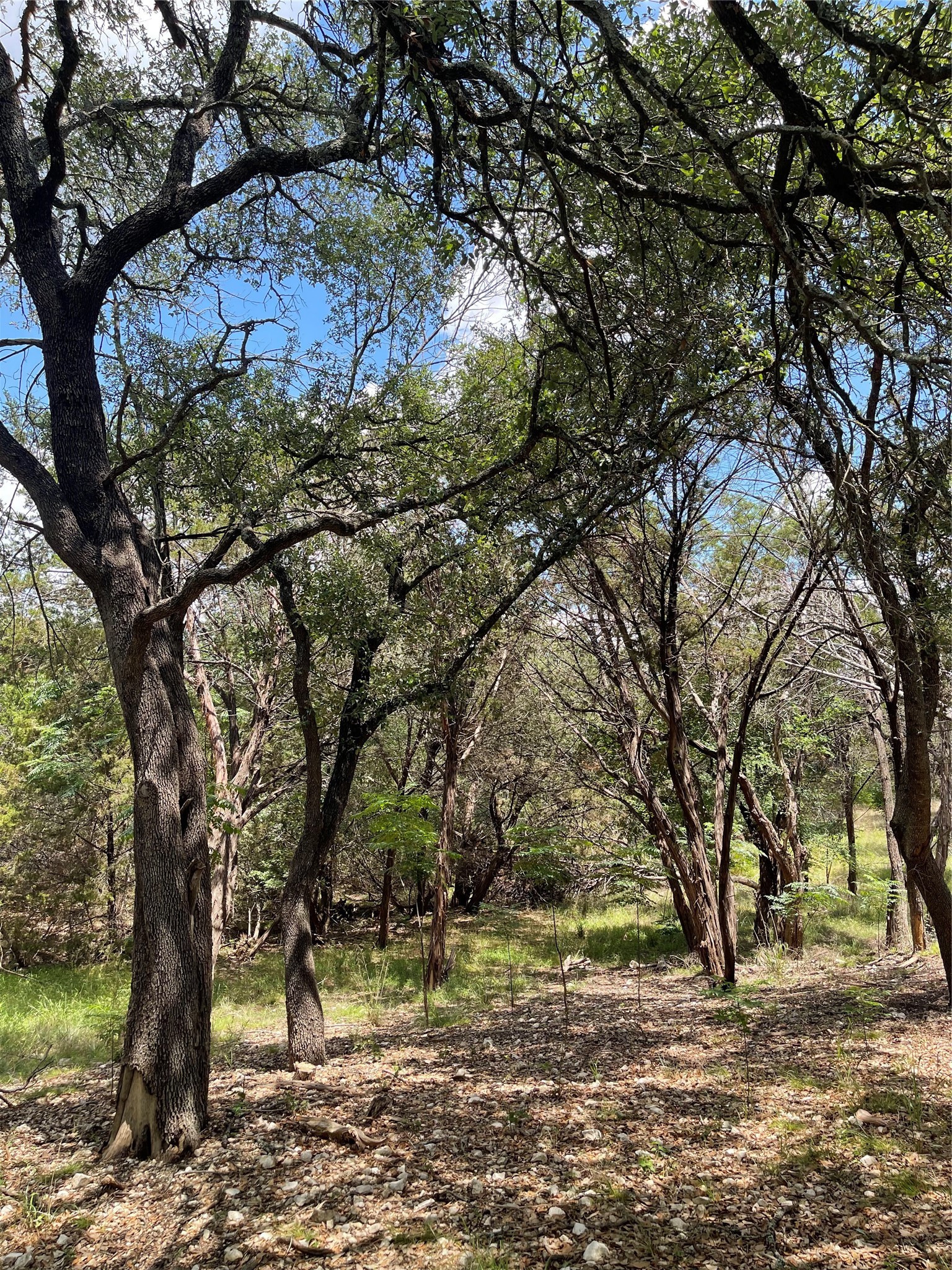 2000 Austin Hines Drive China Spring TX 76633