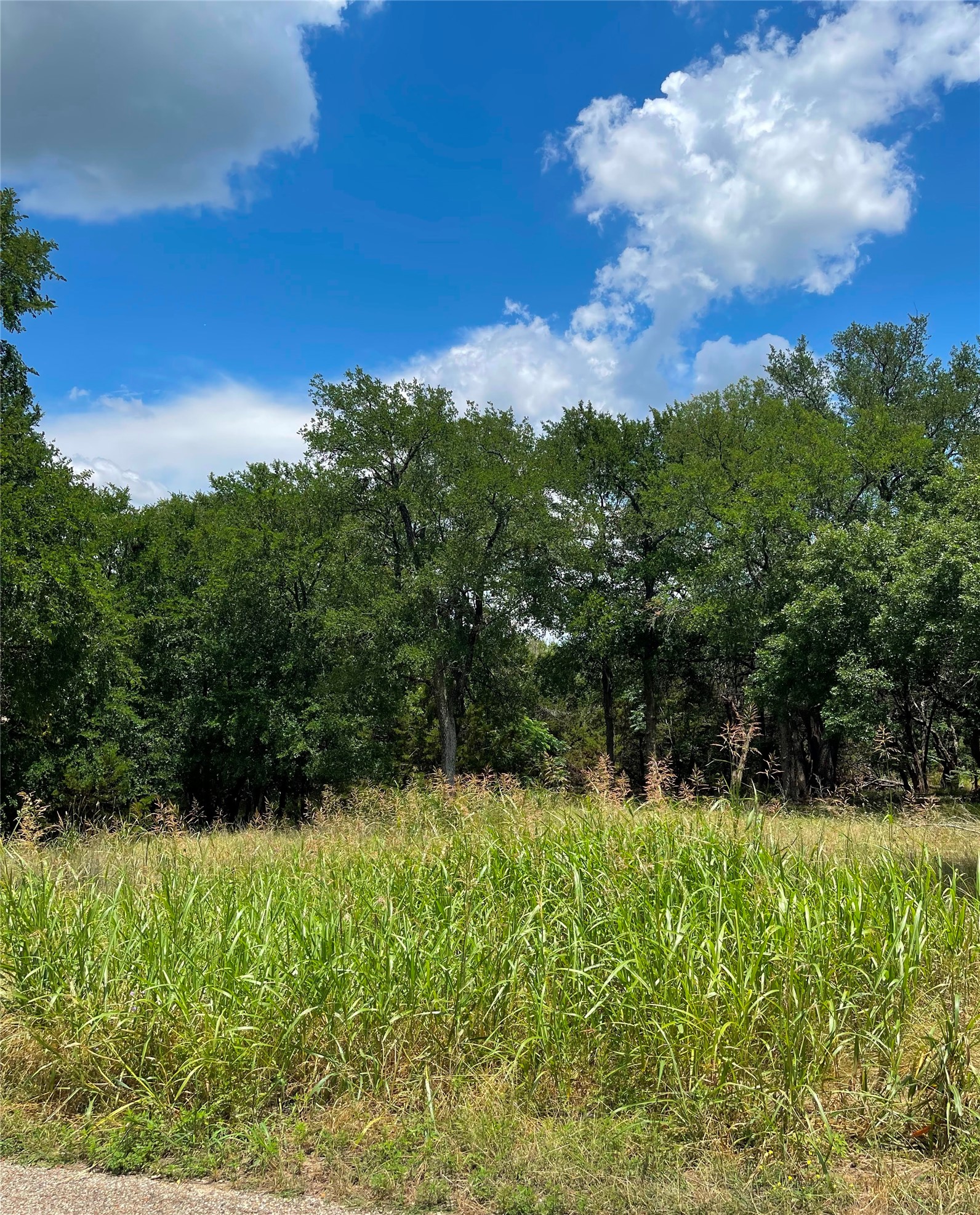 2000 Austin Hines Drive China Spring TX 76633
