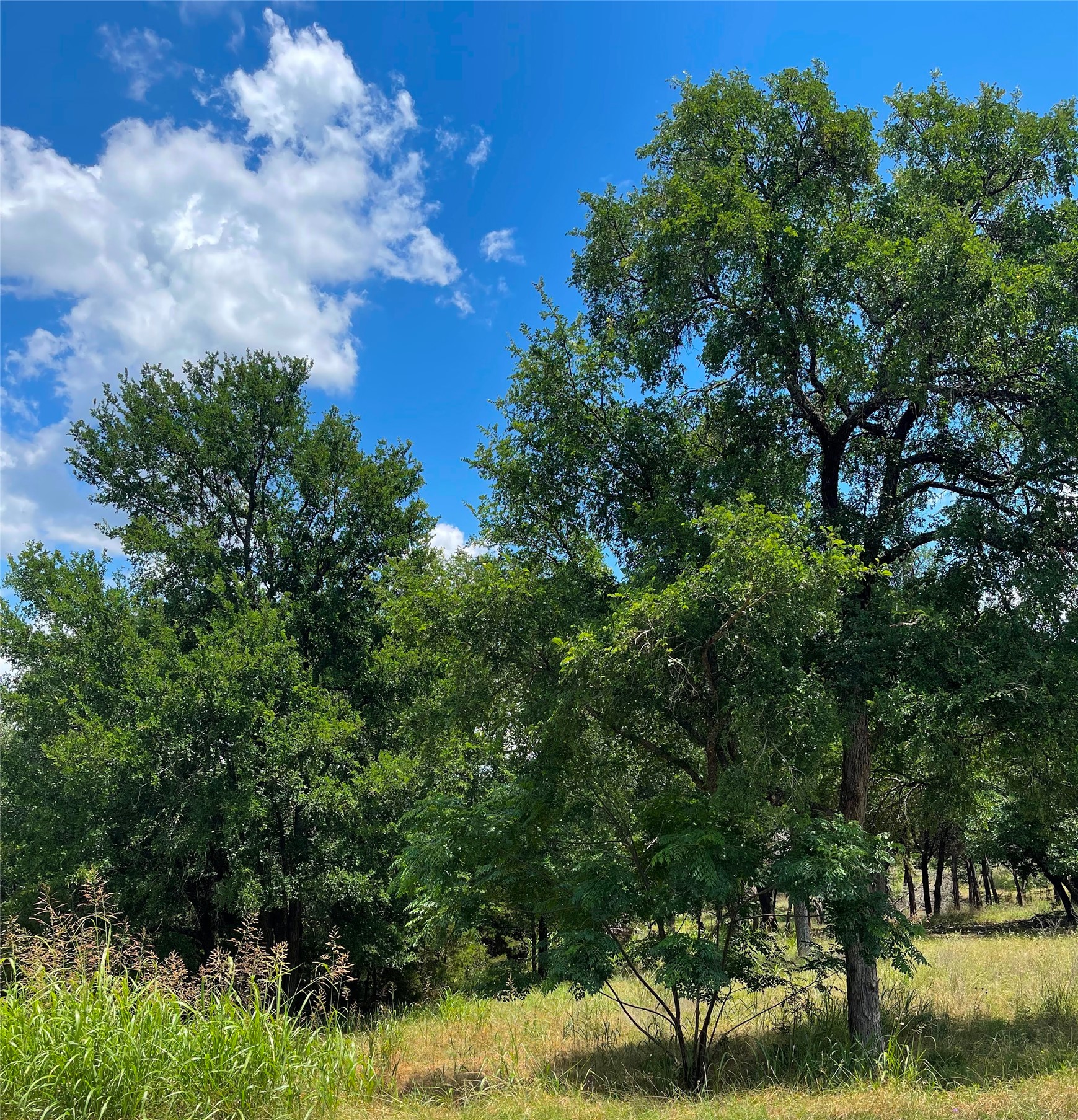2000 Austin Hines Drive China Spring TX 76633