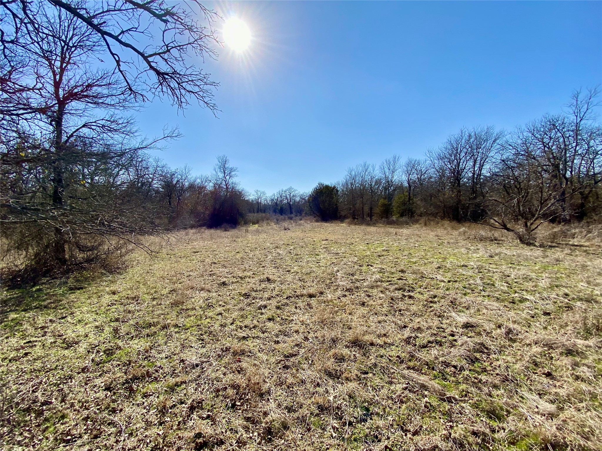 Lot 107 Paradise Oaks Perrin TX 76486