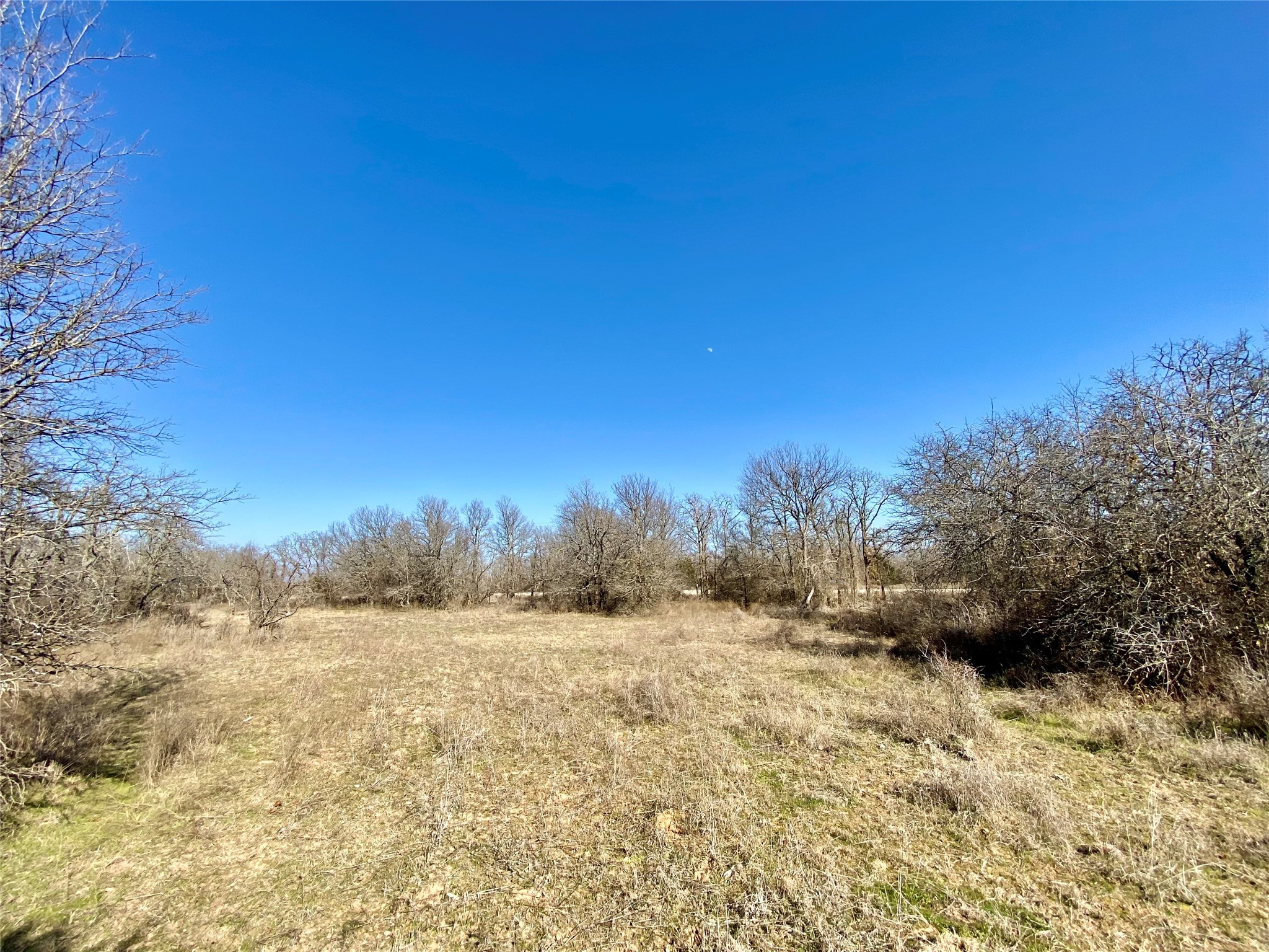 Lot 107 Paradise Oaks Perrin TX 76486