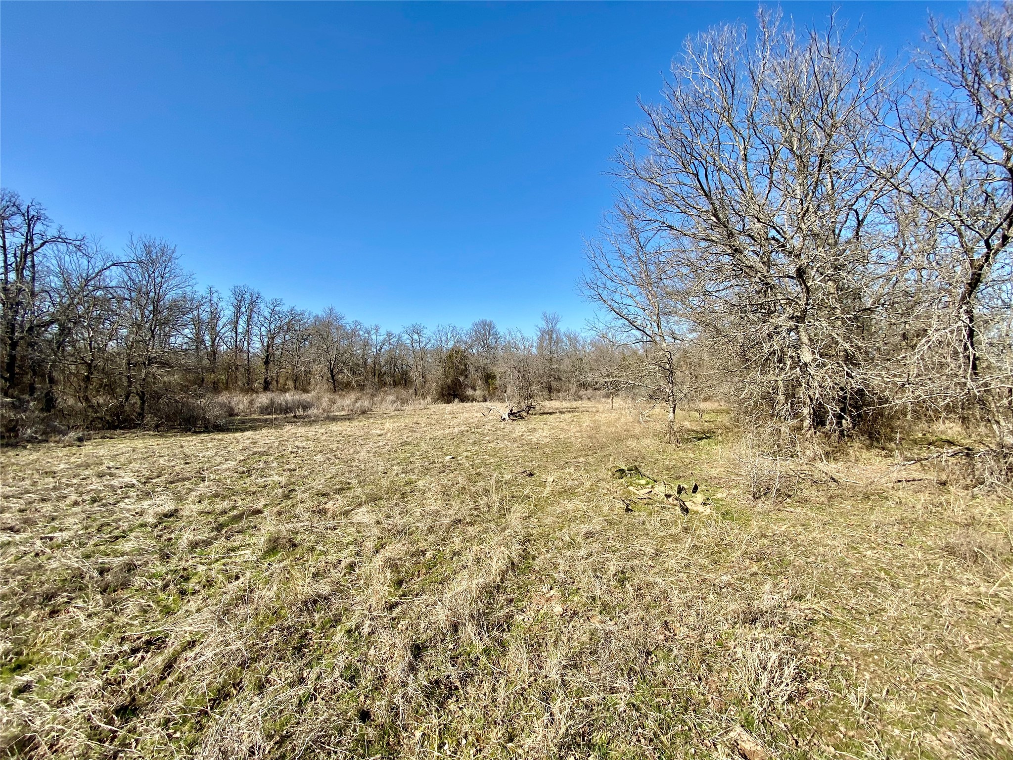 Lot 107 Paradise Oaks Perrin TX 76486