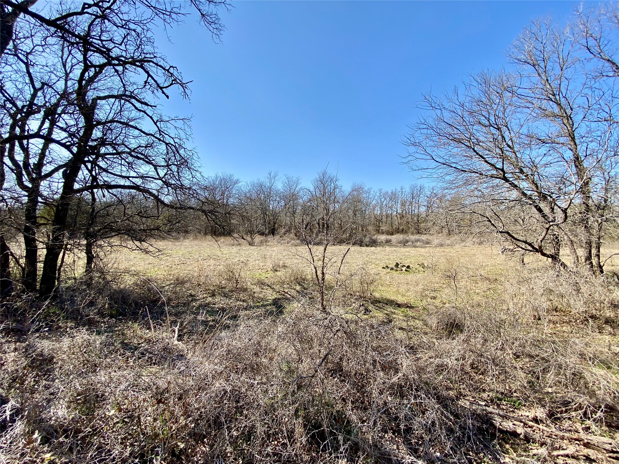 Lot 107 Paradise Oaks Perrin TX 76486
