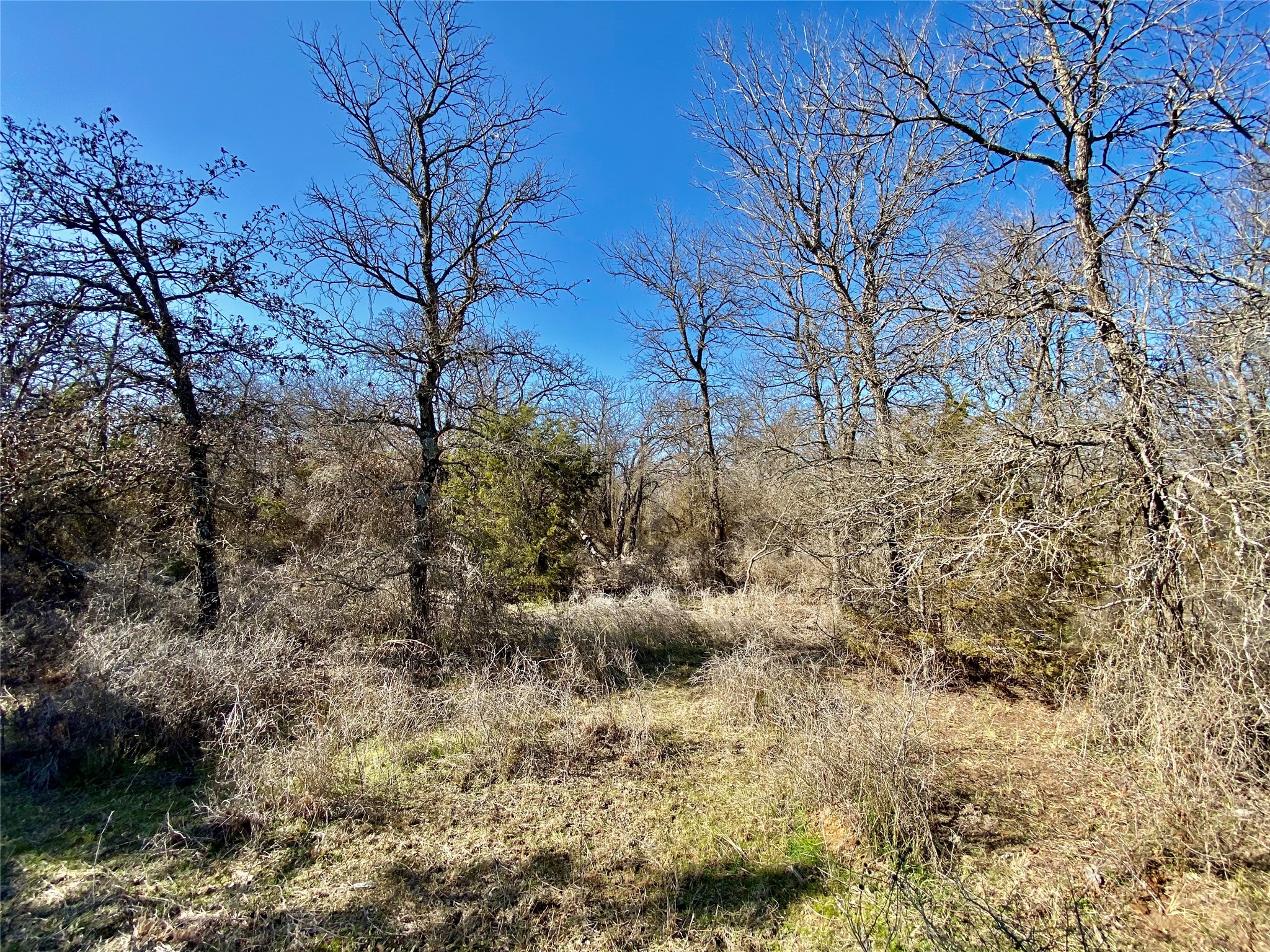 Lot 107 Paradise Oaks Perrin TX 76486