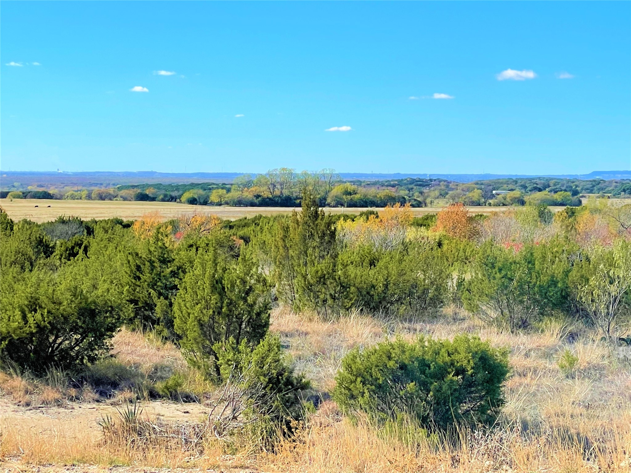 12601 Sue Lane Godley TX 76044