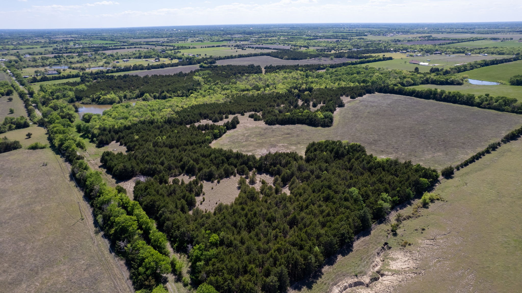 Tbd County Road 5020 Road Blue Ridge TX 75424