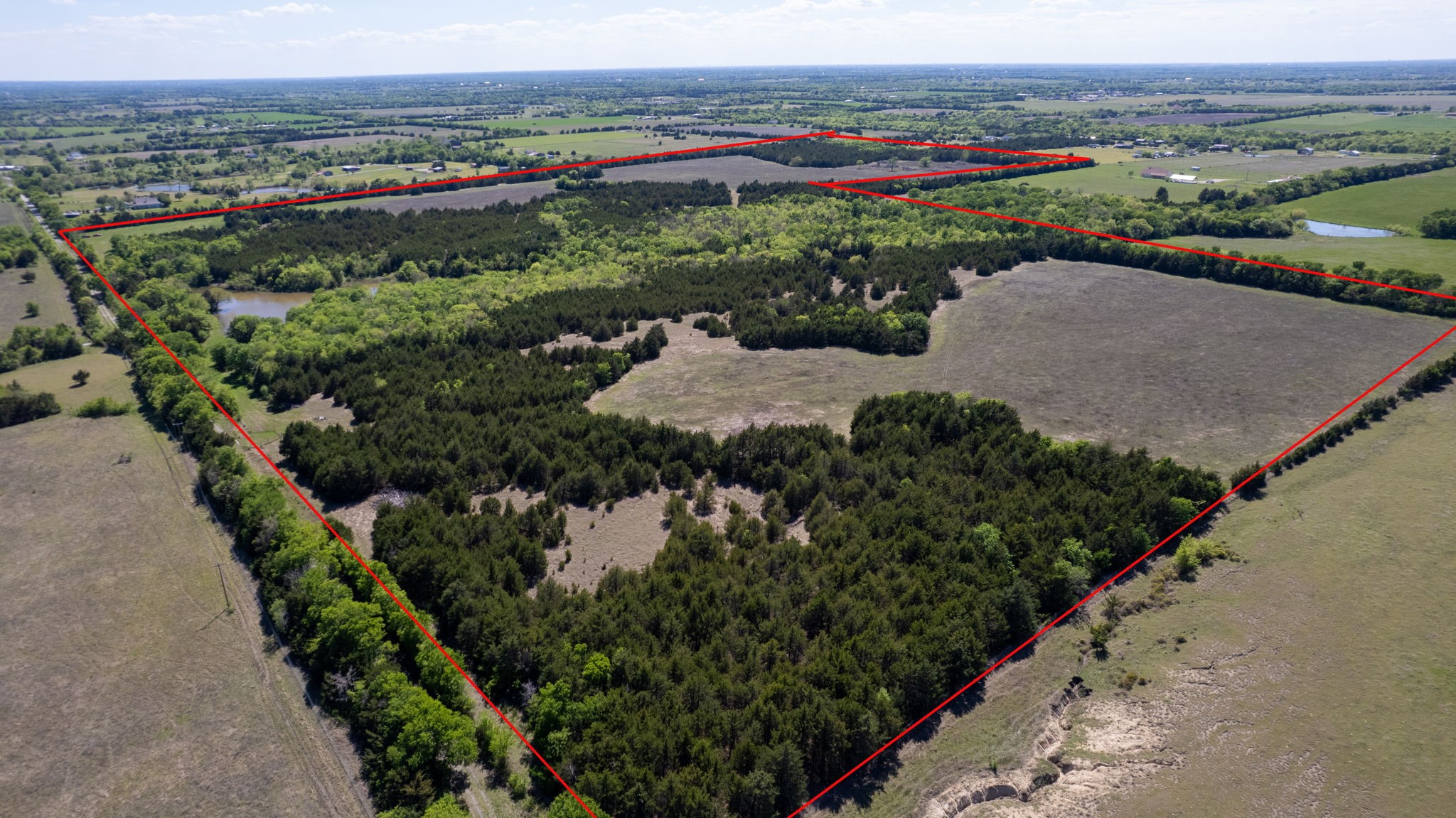 Tbd County Road 5020 Road Blue Ridge TX 75424