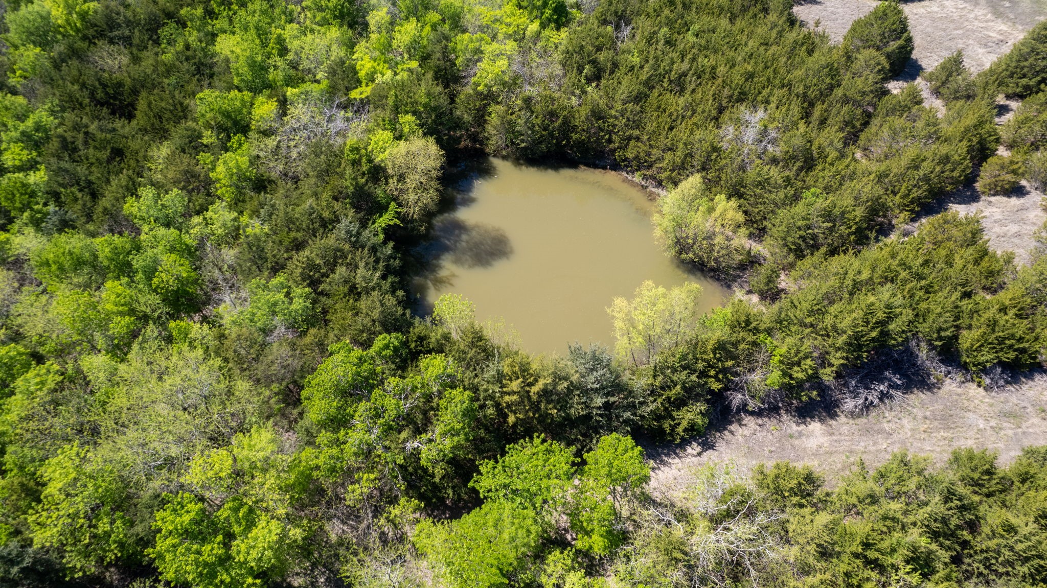 Tbd County Road 5020 Road Blue Ridge TX 75424