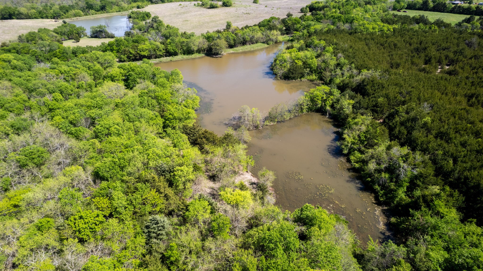 Tbd County Road 5020 Road Blue Ridge TX 75424
