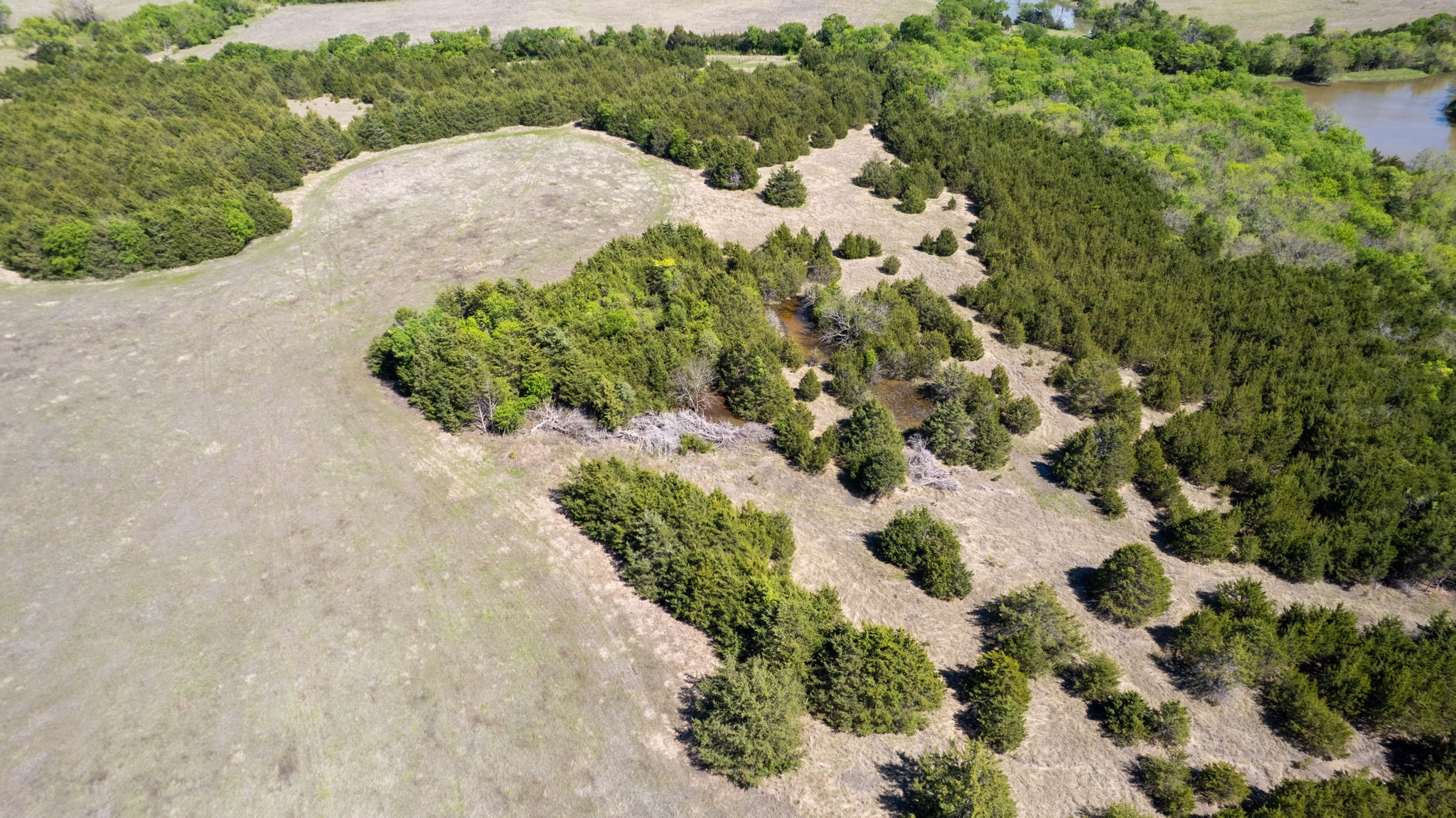 Tbd County Road 5020 Road Blue Ridge TX 75424
