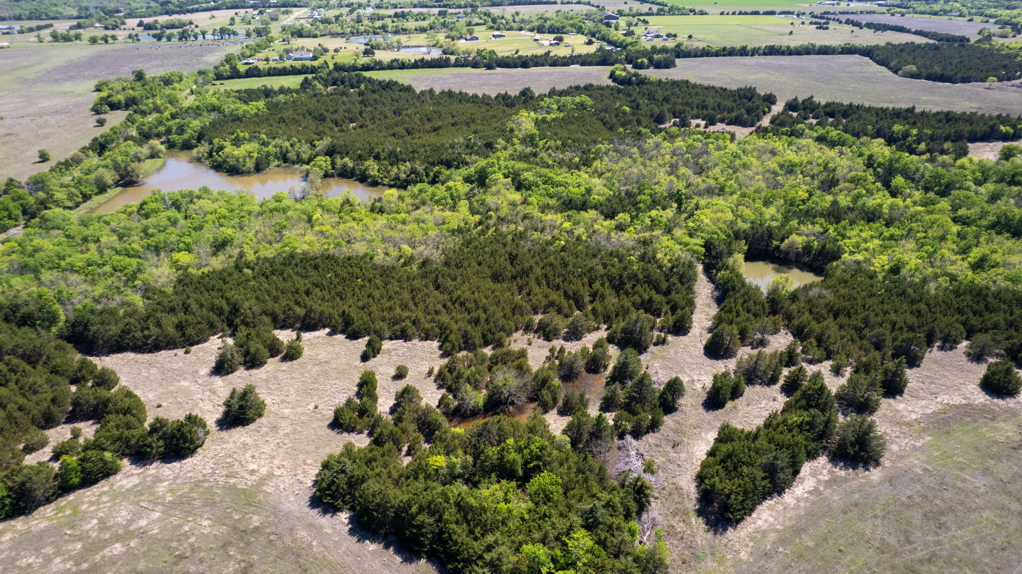 Tbd County Road 5020 Road Blue Ridge TX 75424