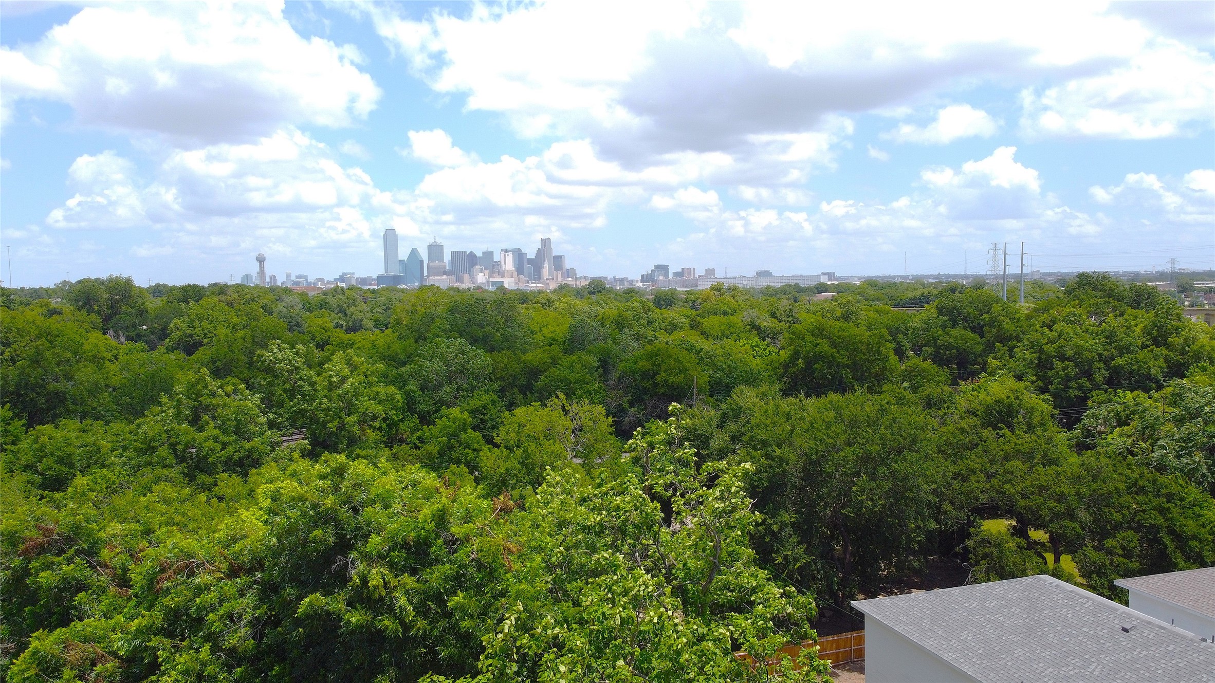1304 Bliss Street Dallas TX 75203