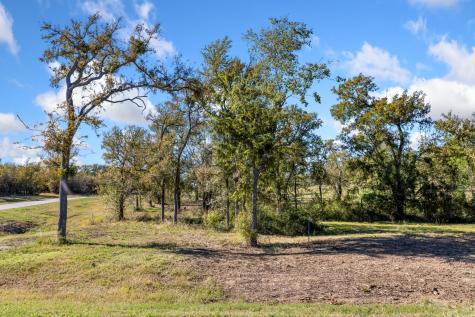 Tbd Lot 65 Emerald Lane Corsicana TX 75109