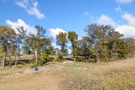 Tbd Lot 65 Emerald Lane Corsicana TX 75109