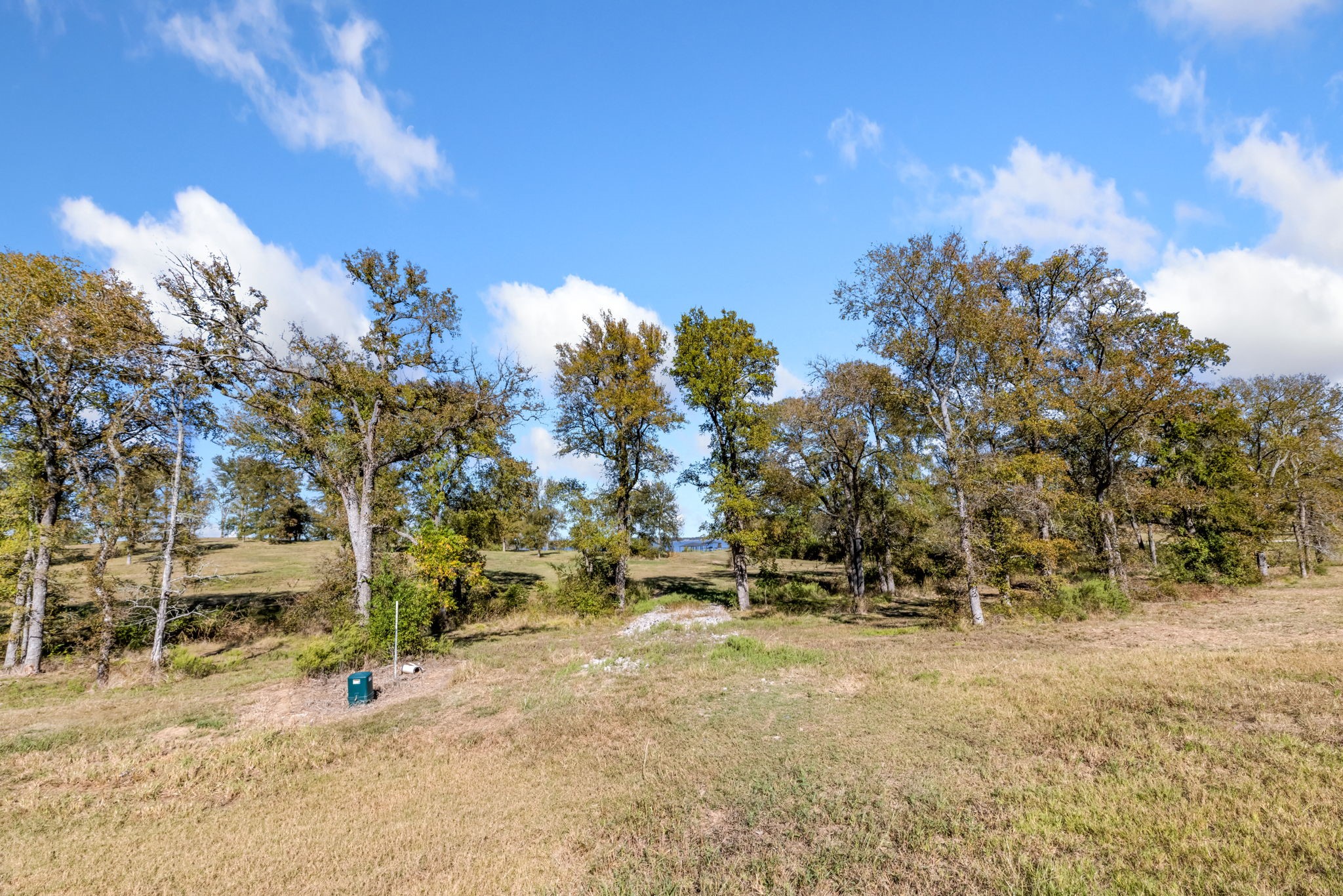 Tbd Lot 65 Emerald Lane Corsicana TX 75109