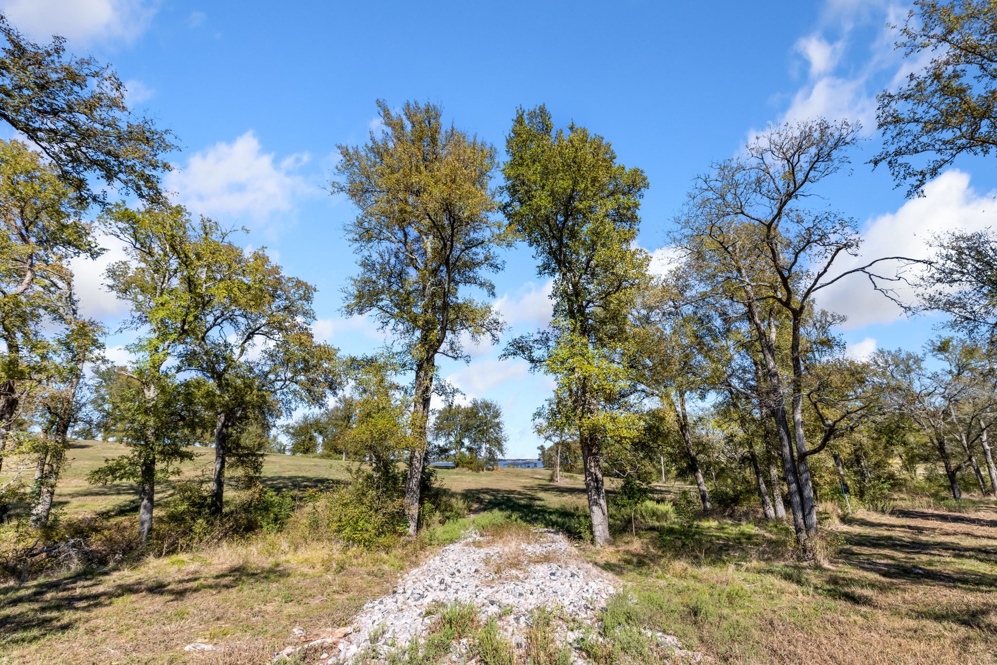 Tbd Lot 65 Emerald Lane Corsicana TX 75109