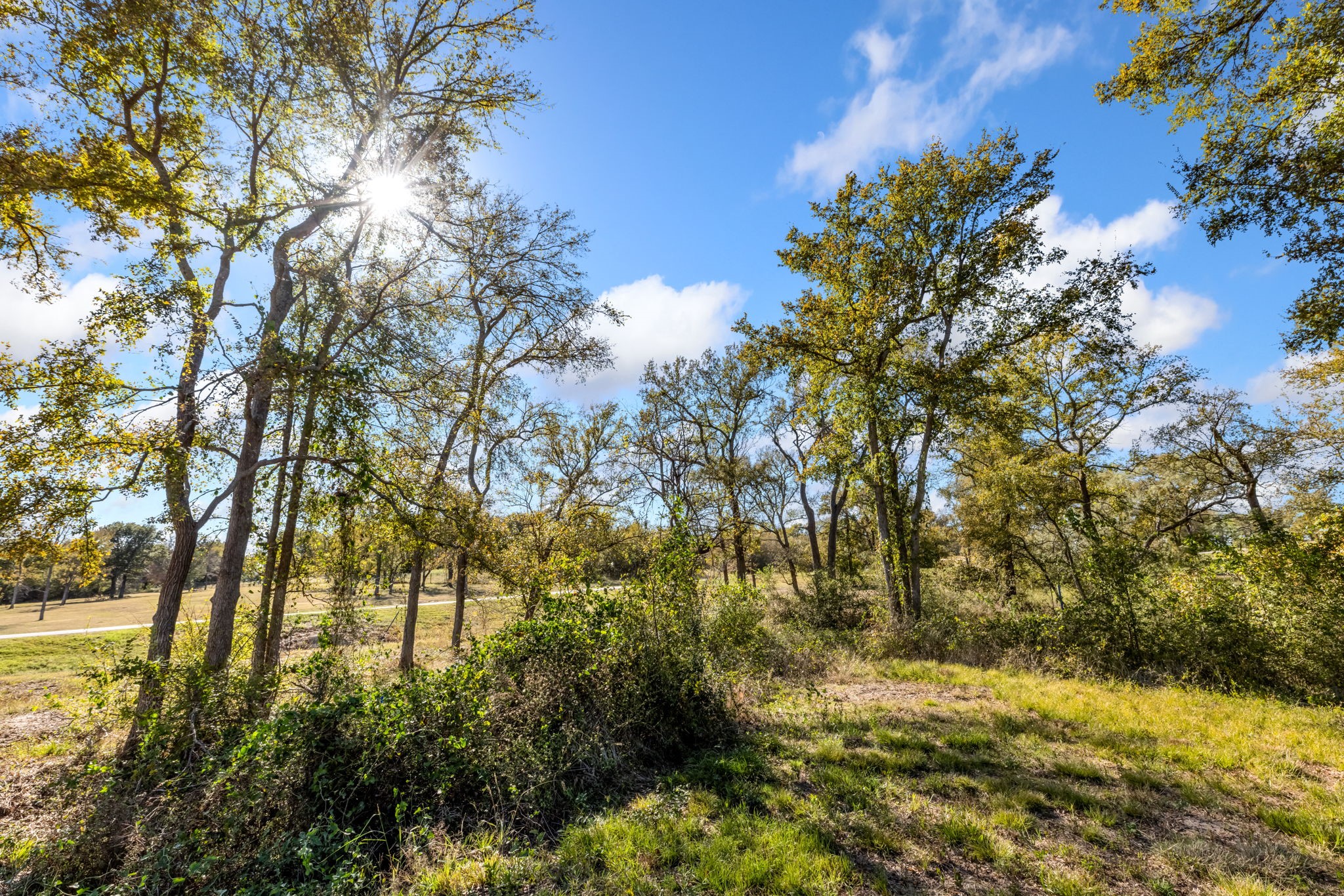 Tbd Lot 65 Emerald Lane Corsicana TX 75109