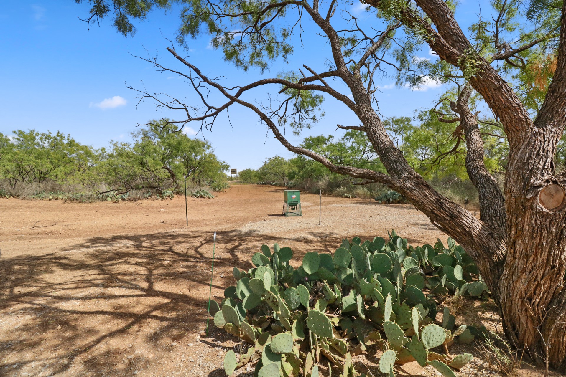 5782 Fm 2131 Coleman TX 76834