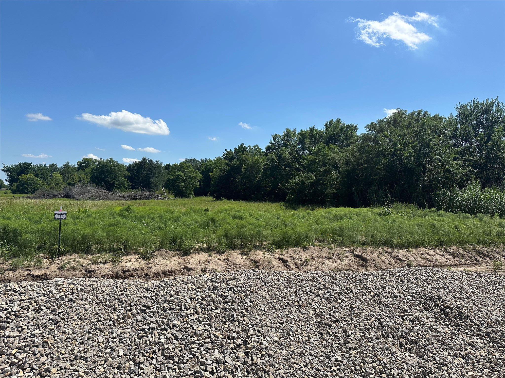 Lot 5 County Road 1110 Farmersville TX 75442