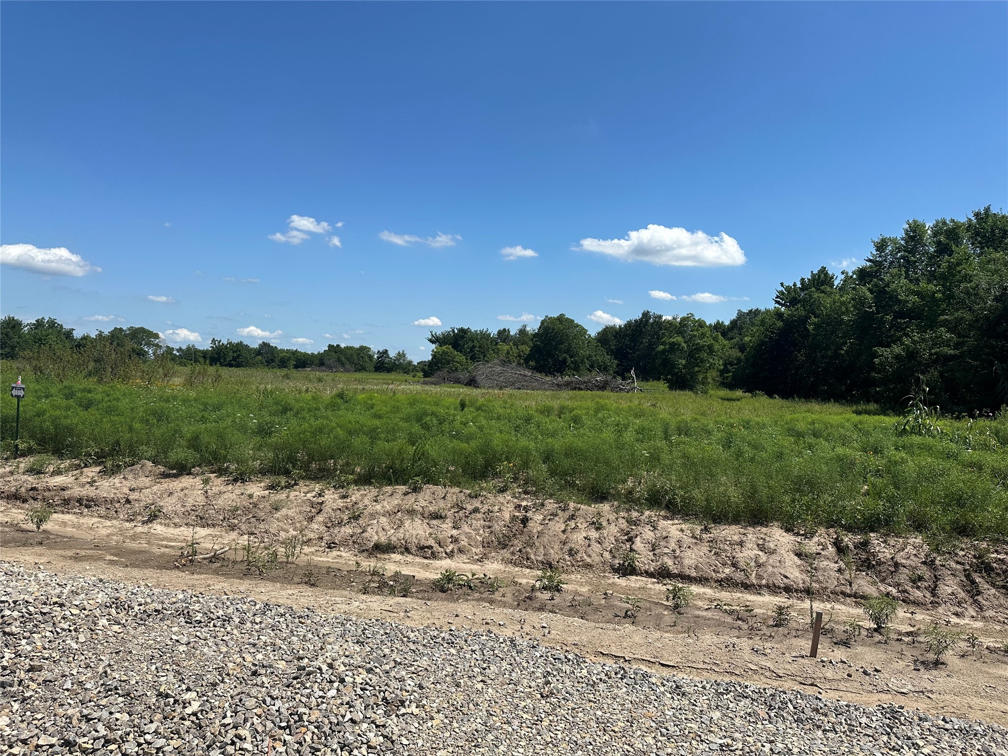 Lot 5 County Road 1110 Farmersville TX 75442