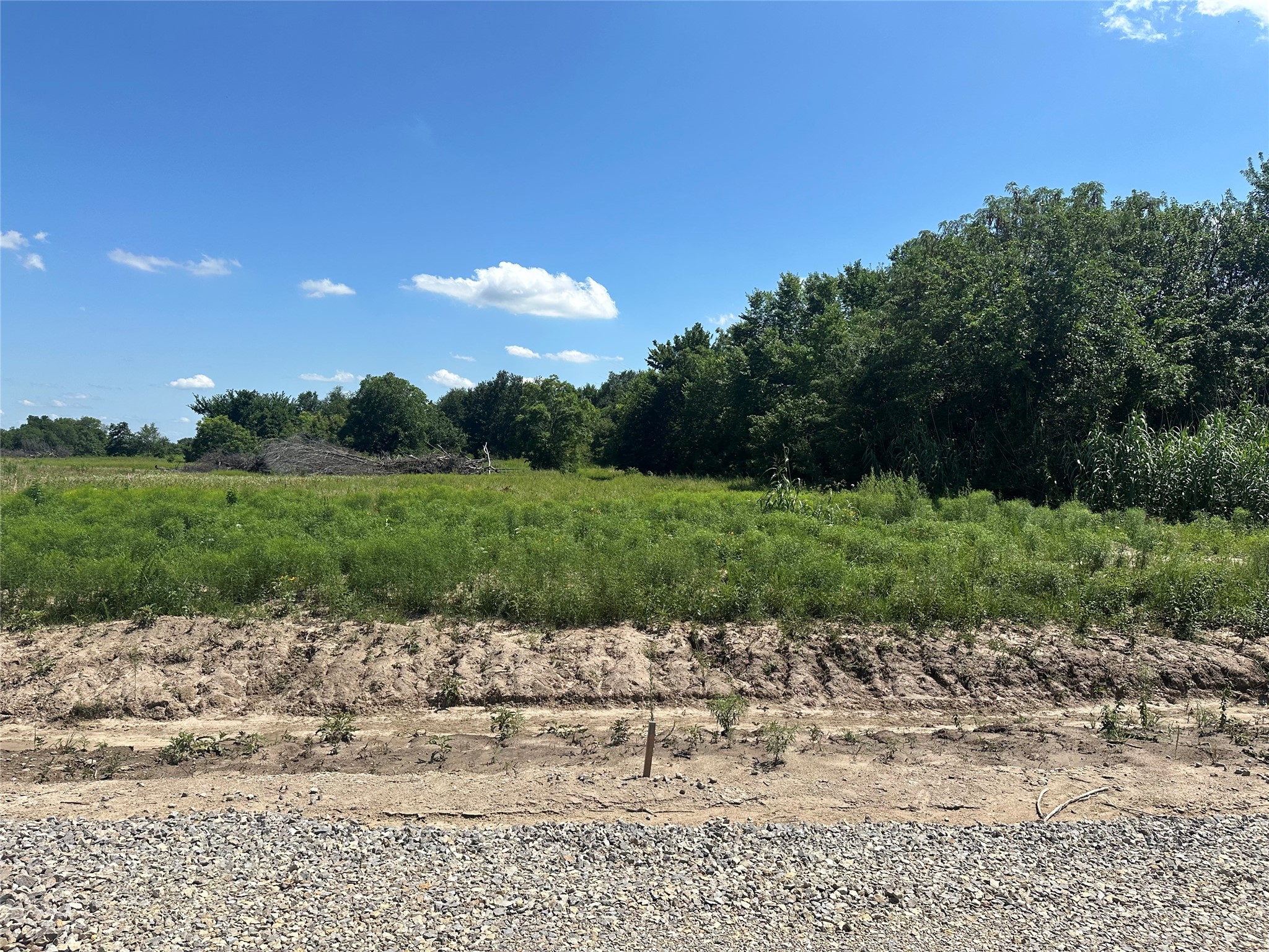Lot 5 County Road 1110 Farmersville TX 75442