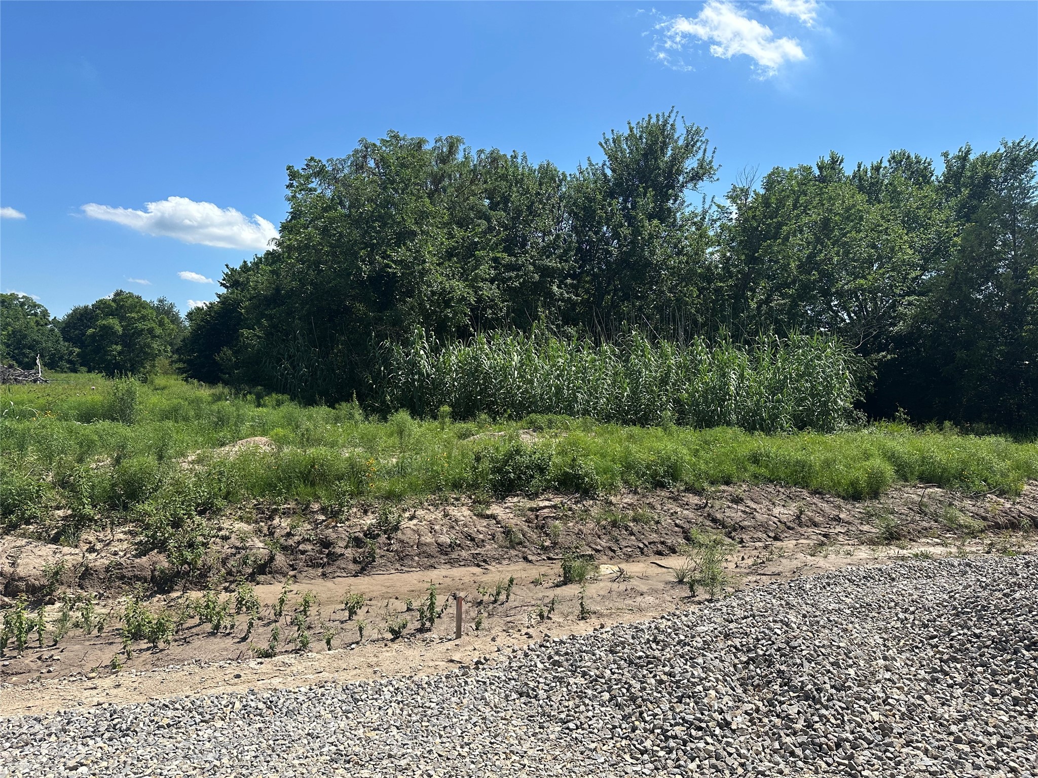 Lot 5 County Road 1110 Farmersville TX 75442