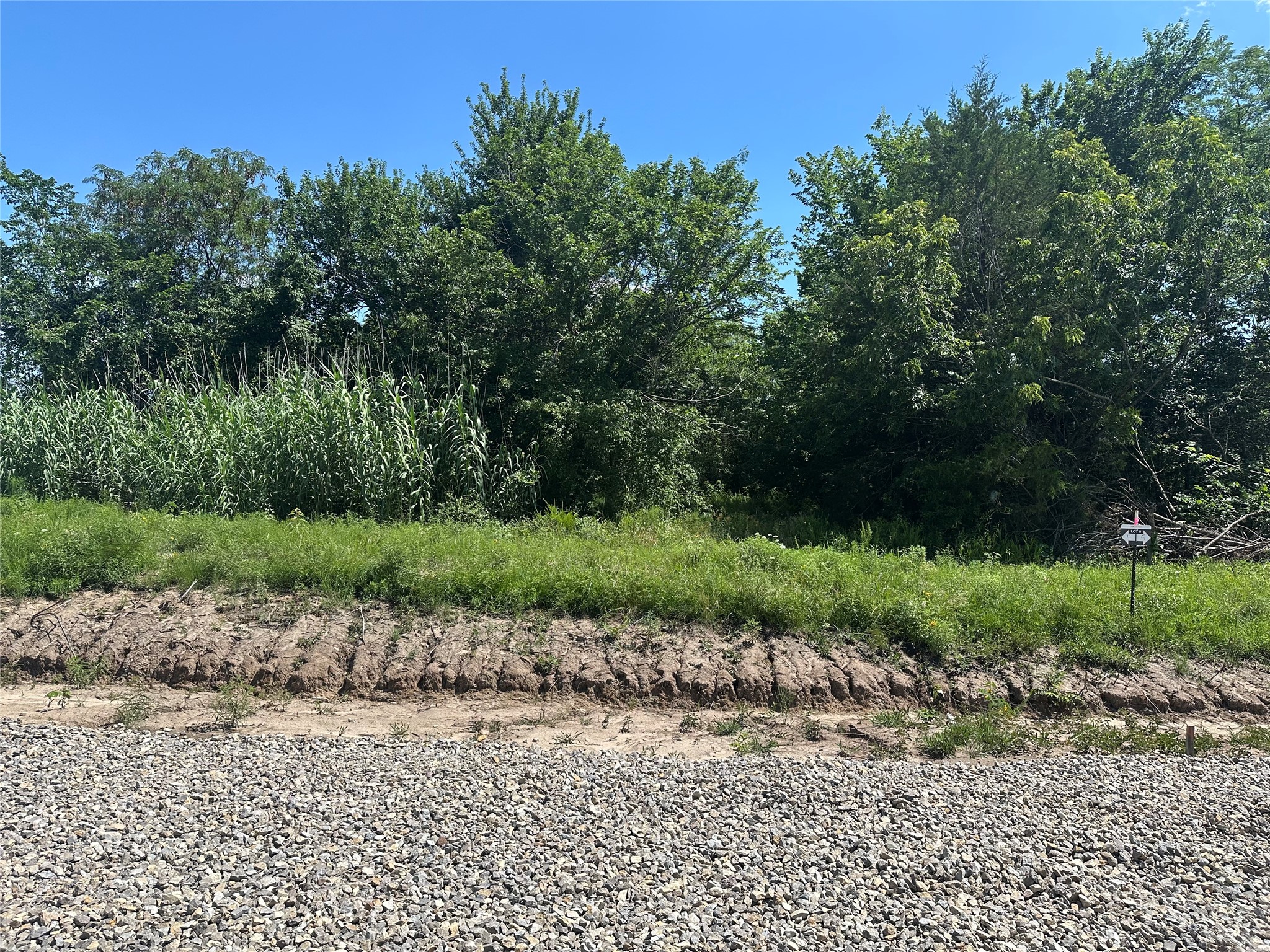 Lot 5 County Road 1110 Farmersville TX 75442