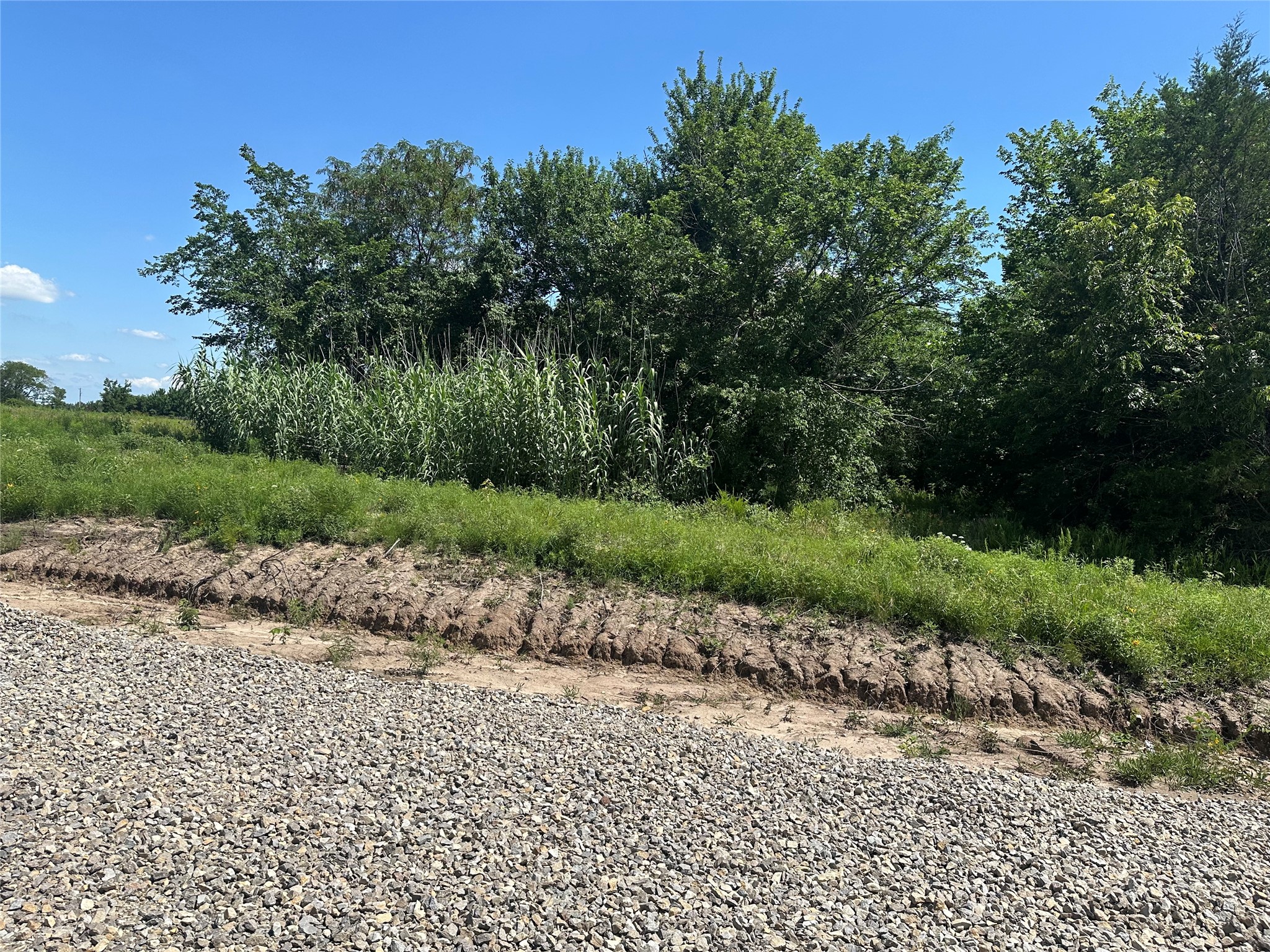 Lot 5 County Road 1110 Farmersville TX 75442