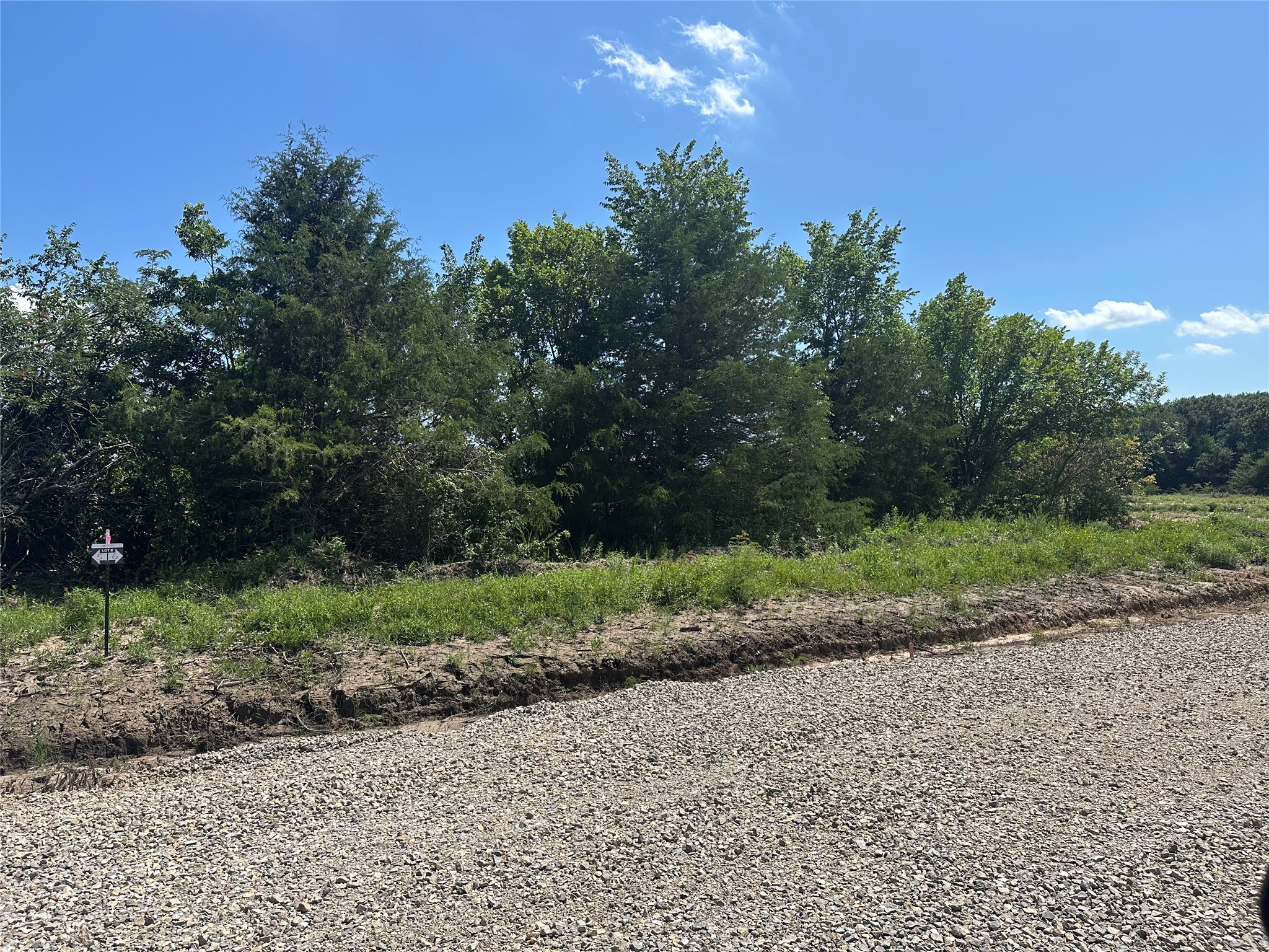 Lot 5 County Road 1110 Farmersville TX 75442