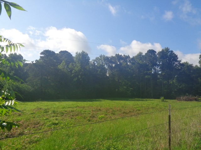 Tbd County Road 4568 Quitman TX 75494