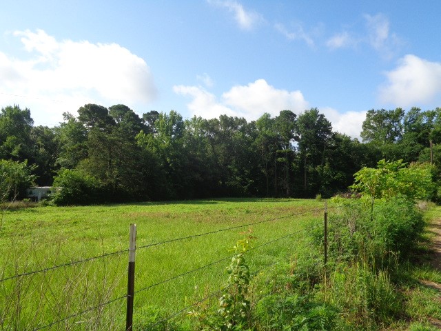 Tbd County Road 4568 Quitman TX 75494