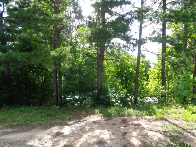 Tbd County Road 4568 Quitman TX 75494