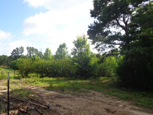 Tbd County Road 4568 Quitman TX 75494