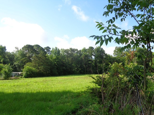 Tbd County Road 4568 Quitman TX 75494