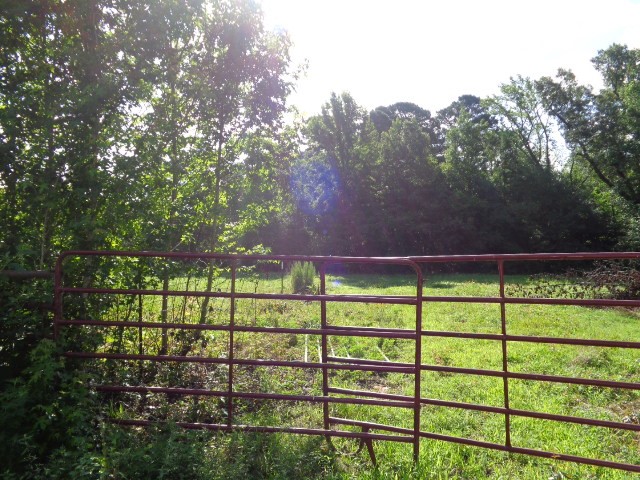 Tbd County Road 4568 Quitman TX 75494